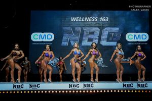 WELLNESS 163